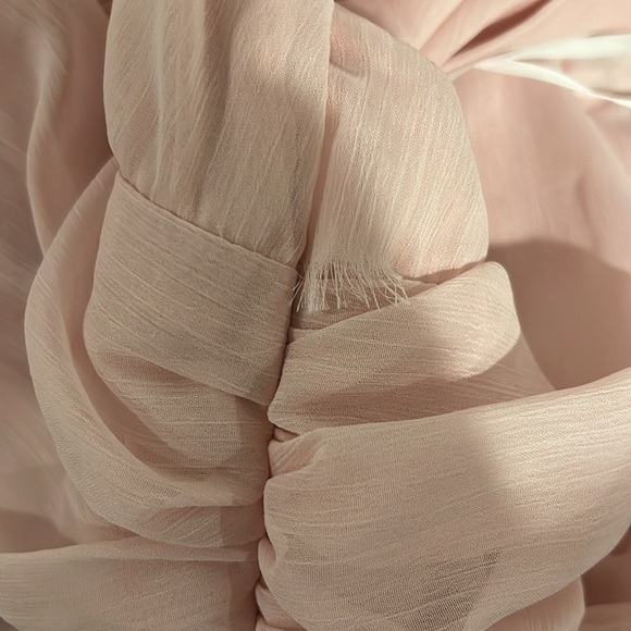 Enchantingly Sweet Blush Pink Chiffon Backless Maxi Dress - Picture 11 of 11